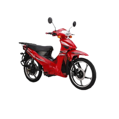 VİTELLO LEON CUP 100